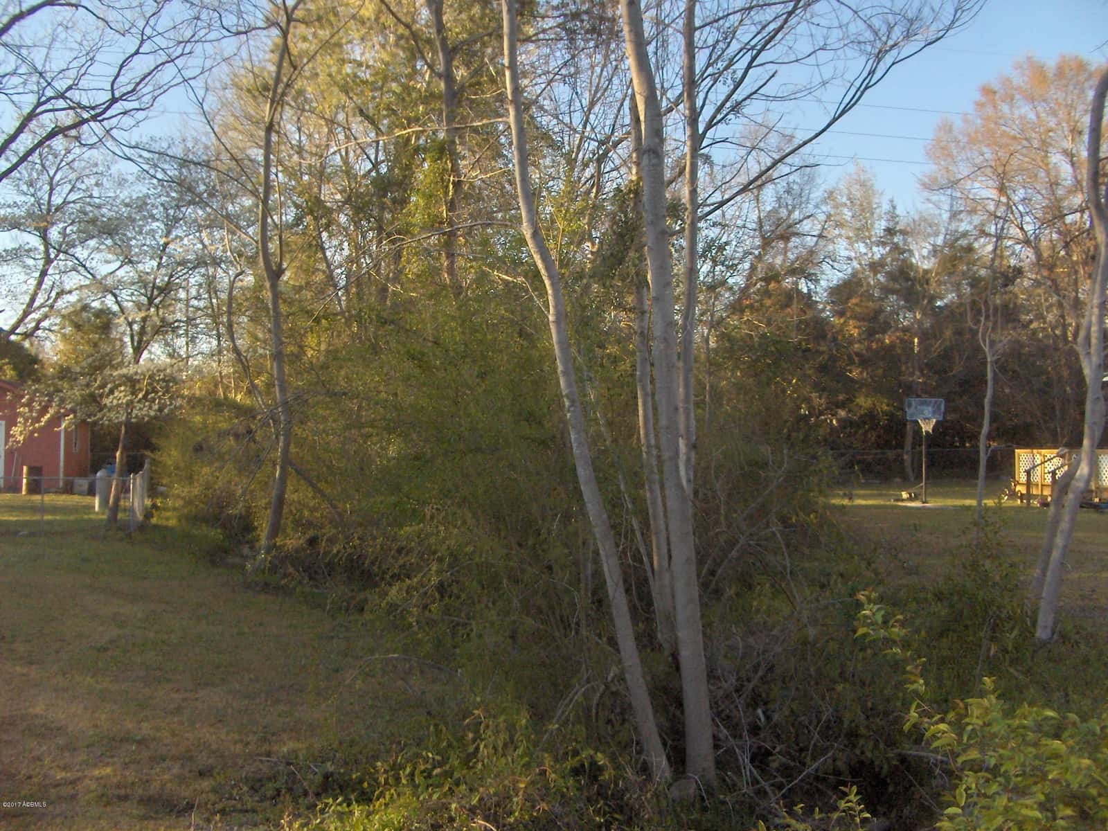 0 Georgia Avenue, Barnwell, SC 29812 — photo 2 of 6