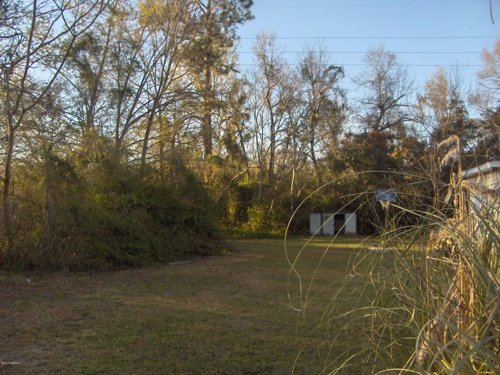 0 Georgia Avenue, Barnwell, SC 29812 — photo 3 of 6
