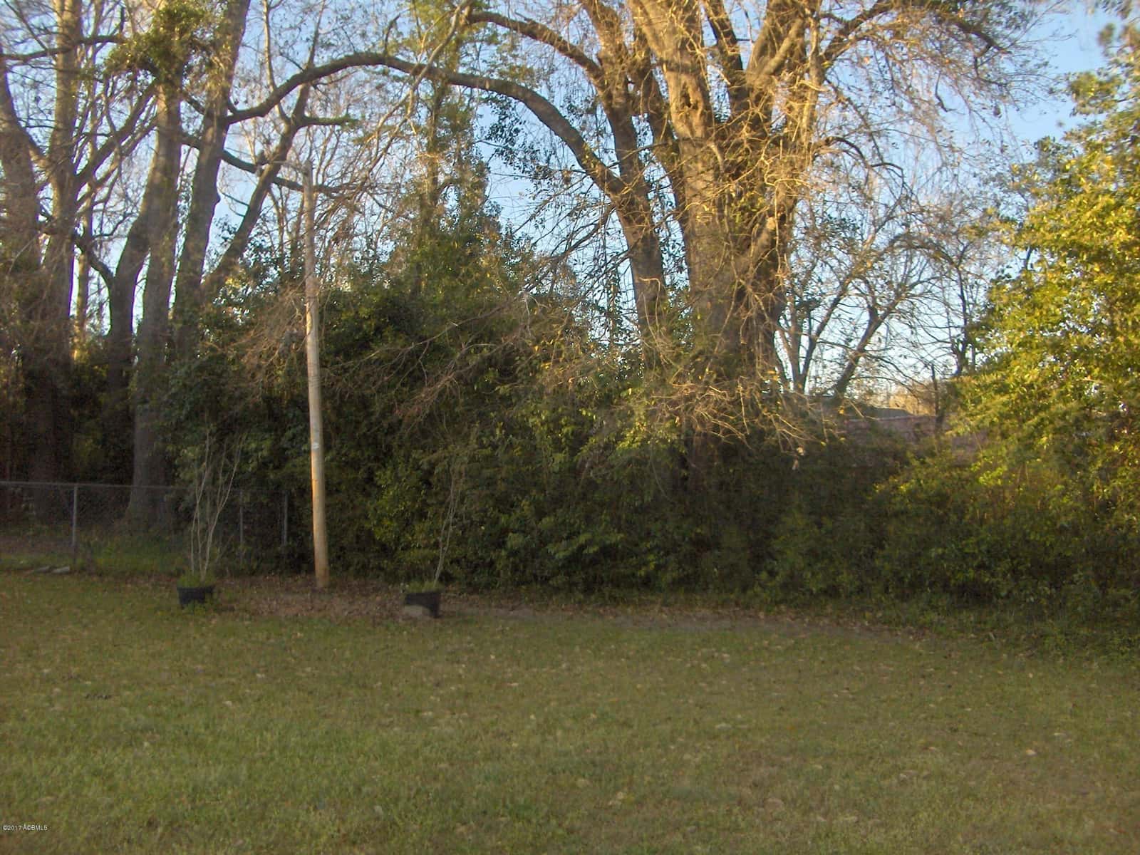 000 Georgia Avenue, Barnwell, SC 29812 — photo 6 of 9