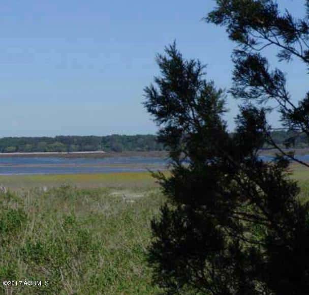 5 Woodstork Watch, Okatie, SC 29909 — photo 1 of 4