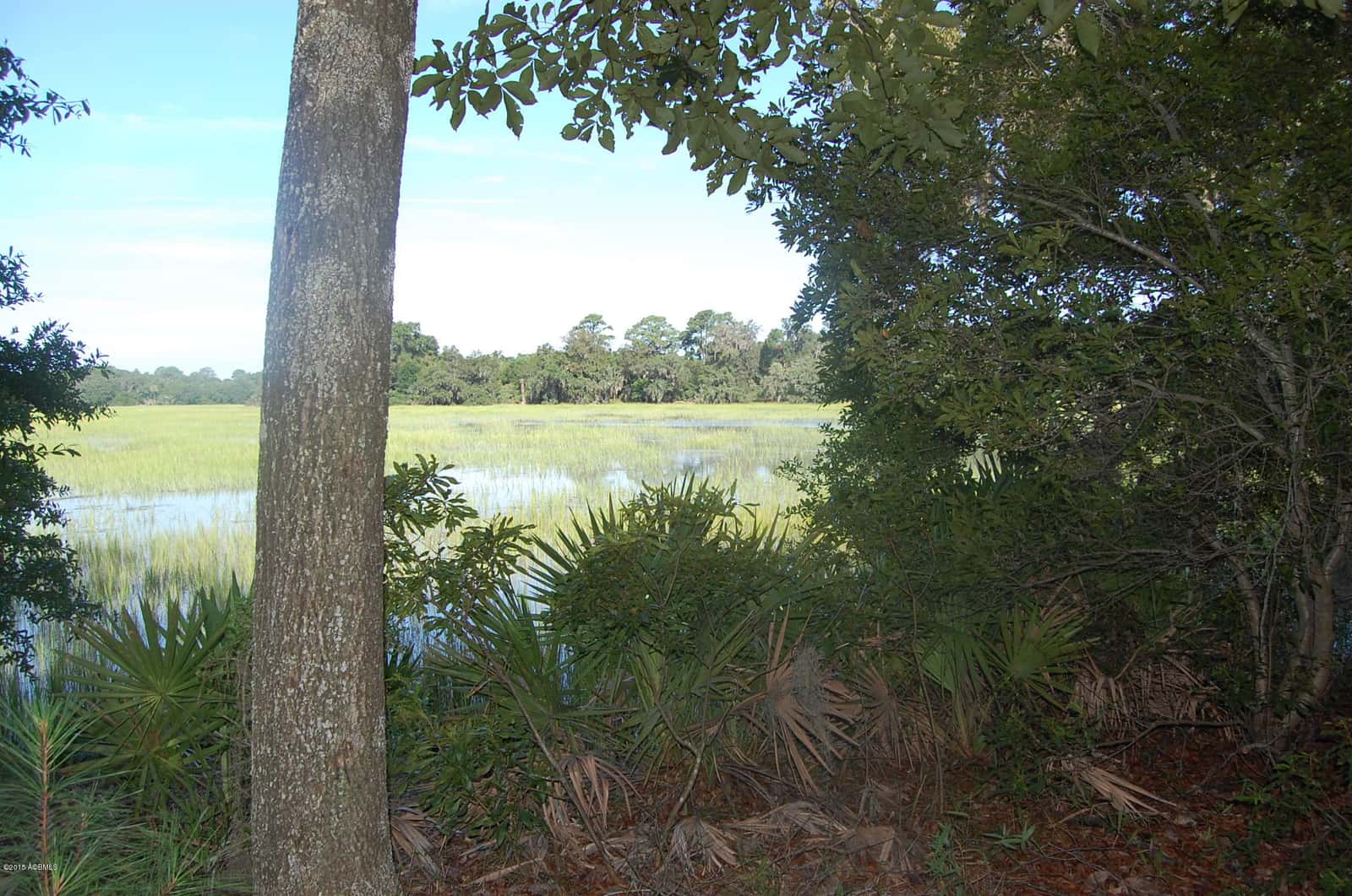 4 Timber Trail, Beaufort, SC 29907 — photo 7 of 22