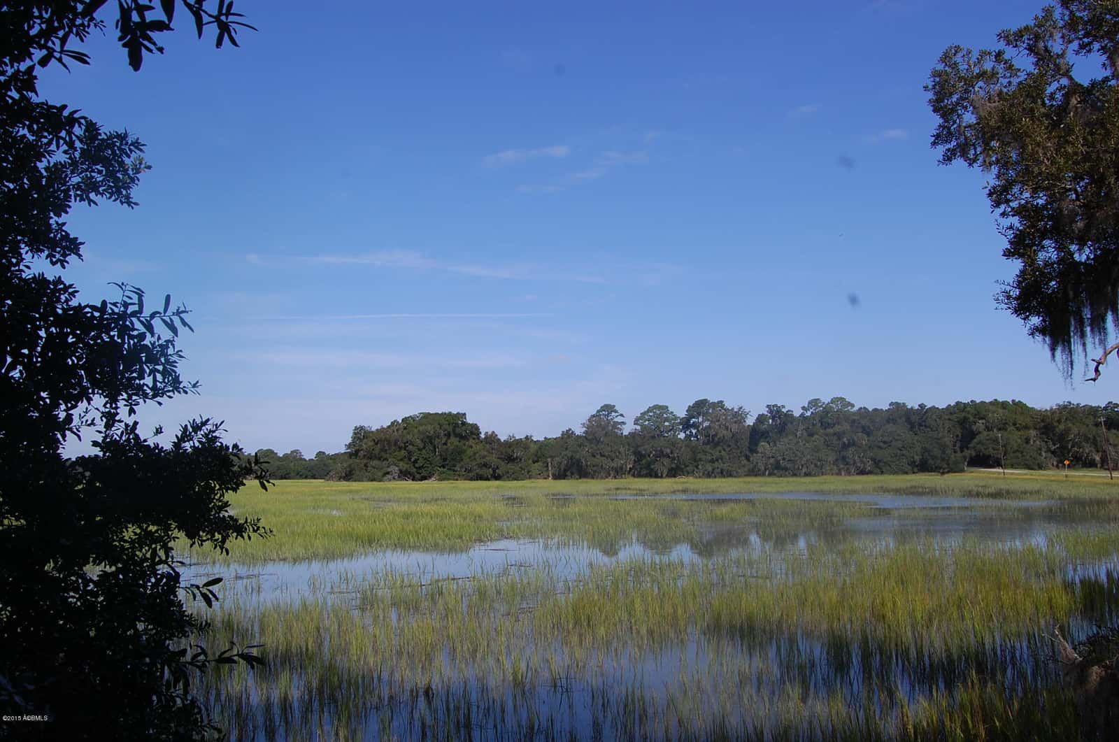 4 Timber Trail, Beaufort, SC 29907 — photo 9 of 22