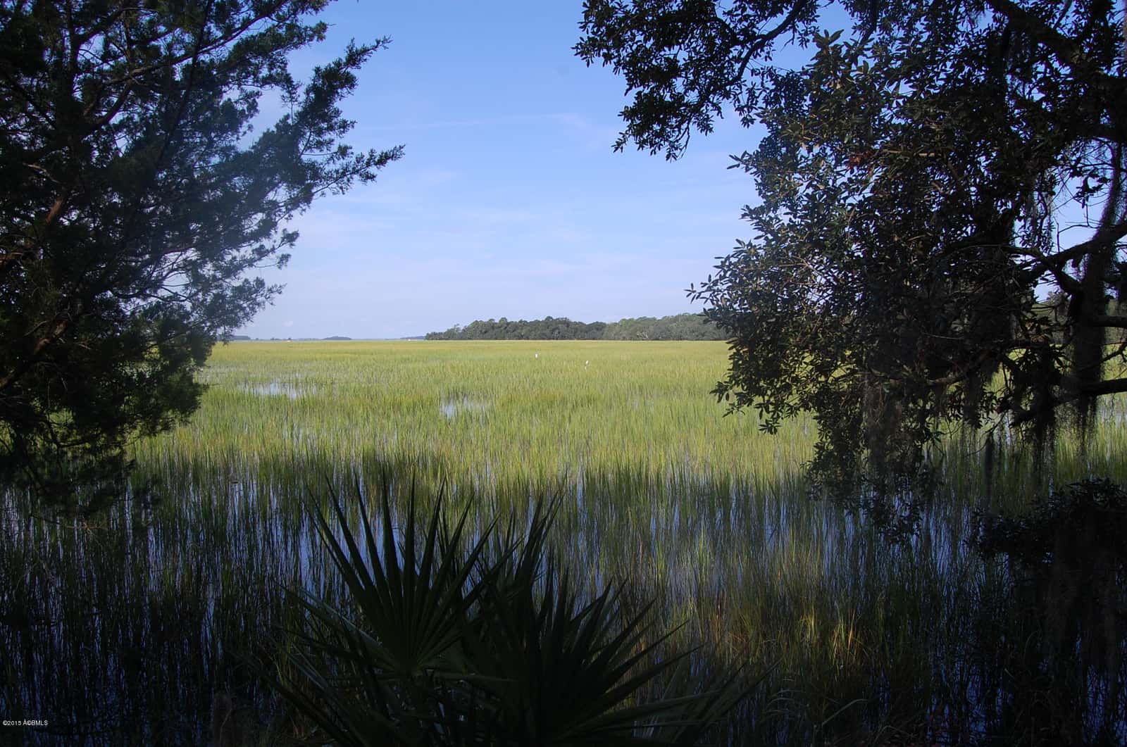 4 Timber Trail, Beaufort, SC 29907 — photo 11 of 22