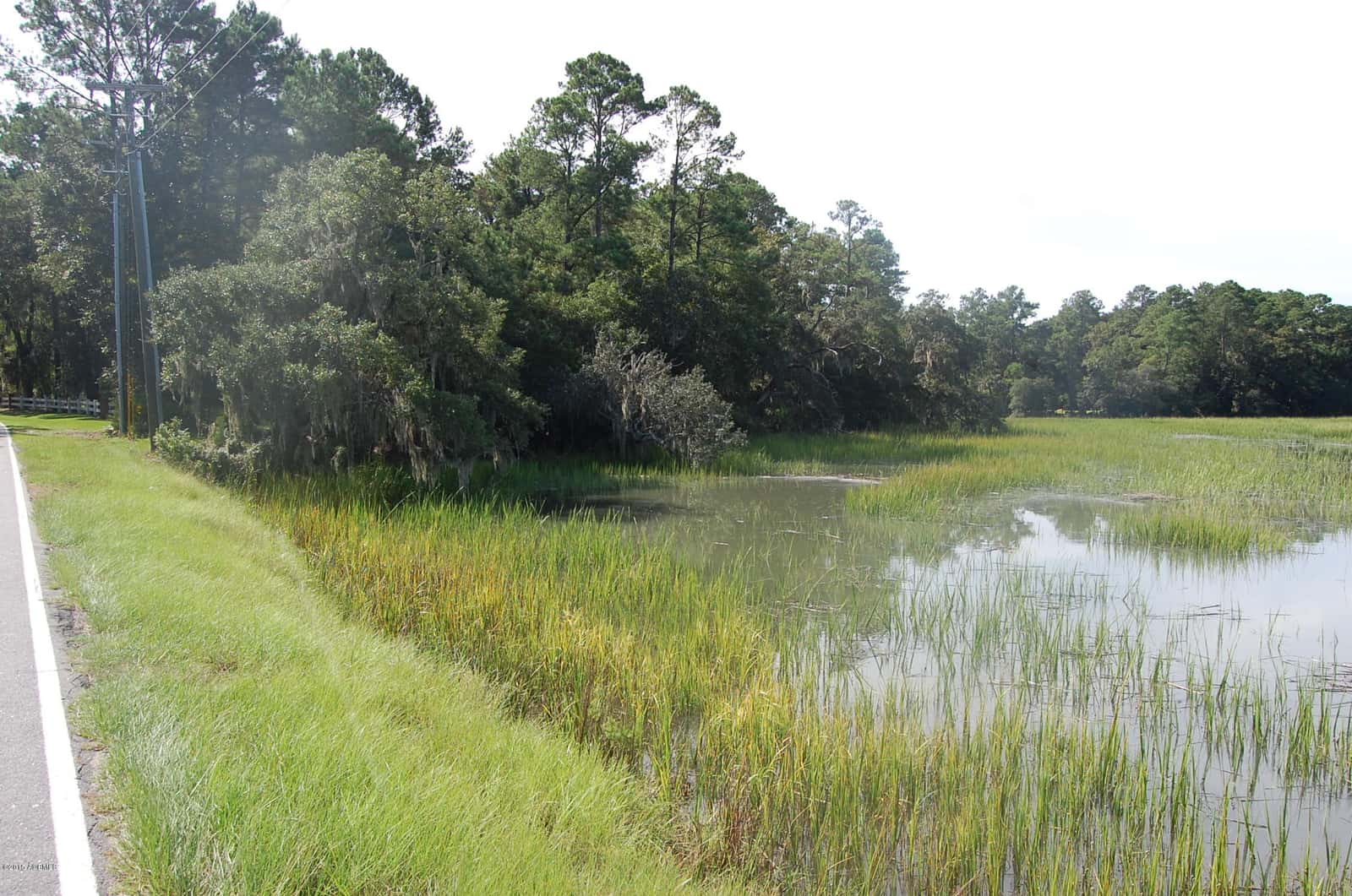 4 Timber Trail, Beaufort, SC 29907 — photo 12 of 22