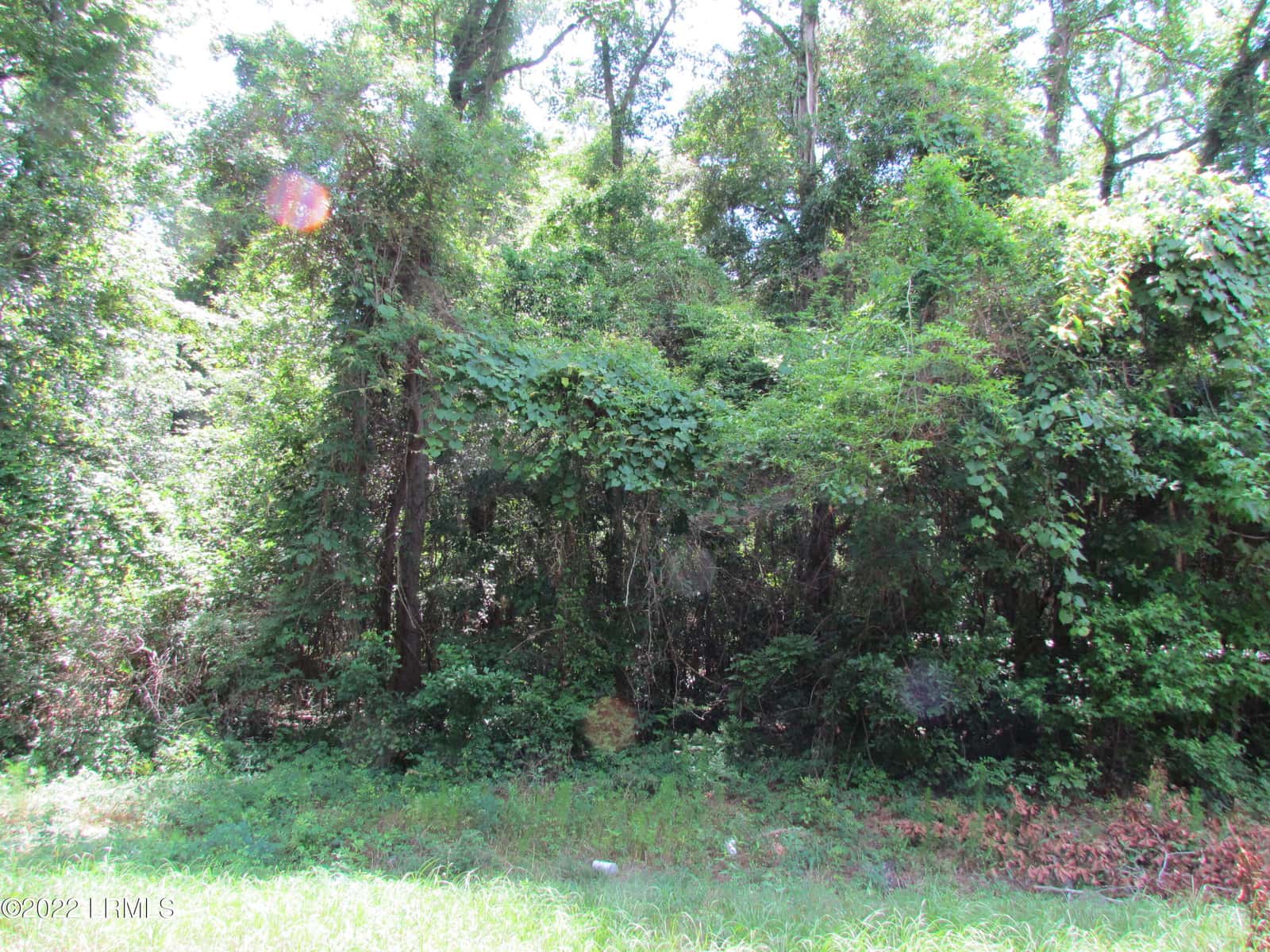 214 Seabrook Road, Seabrook, SC 29940 — photo 7 of 17