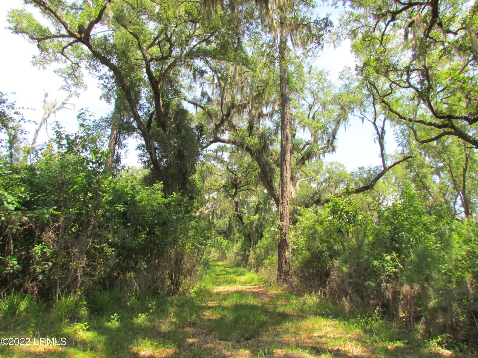 214 Seabrook Road, Seabrook, SC 29940 — photo 10 of 17