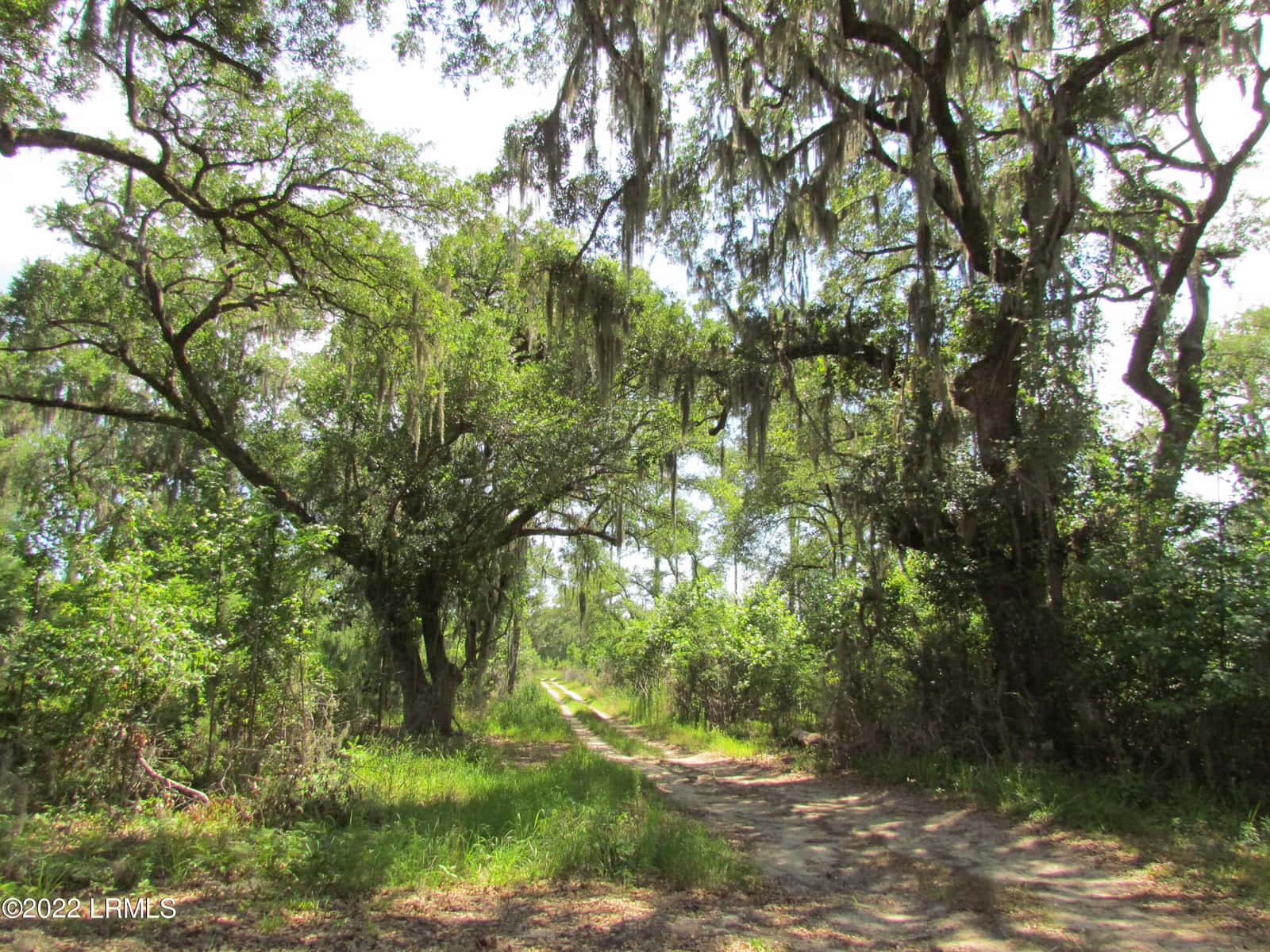 214 Seabrook Road, Seabrook, SC 29940 — photo 12 of 17