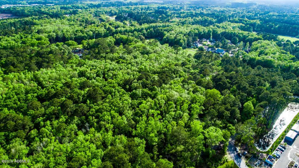 Tbd Lost Oaks Drive, Bluffton, SC 29910 — photo 2 of 11