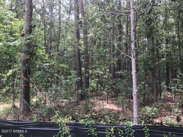 Tbd Lost Oaks Drive, Bluffton, SC 29910 — photo 10 of 11