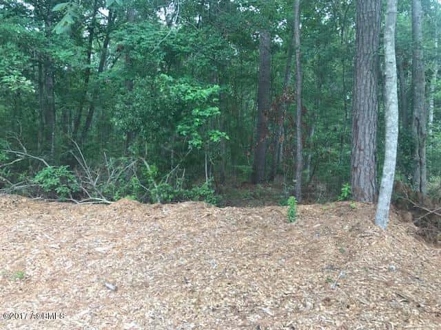 Tbd Lost Oaks Drive, Bluffton, SC 29910 — photo 11 of 11