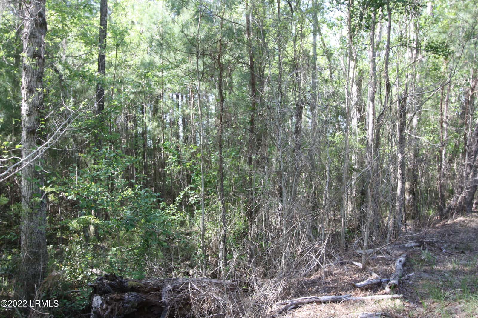 Tbd Halifax Circle, St. Helena Island, SC 29920 — photo 1 of 9