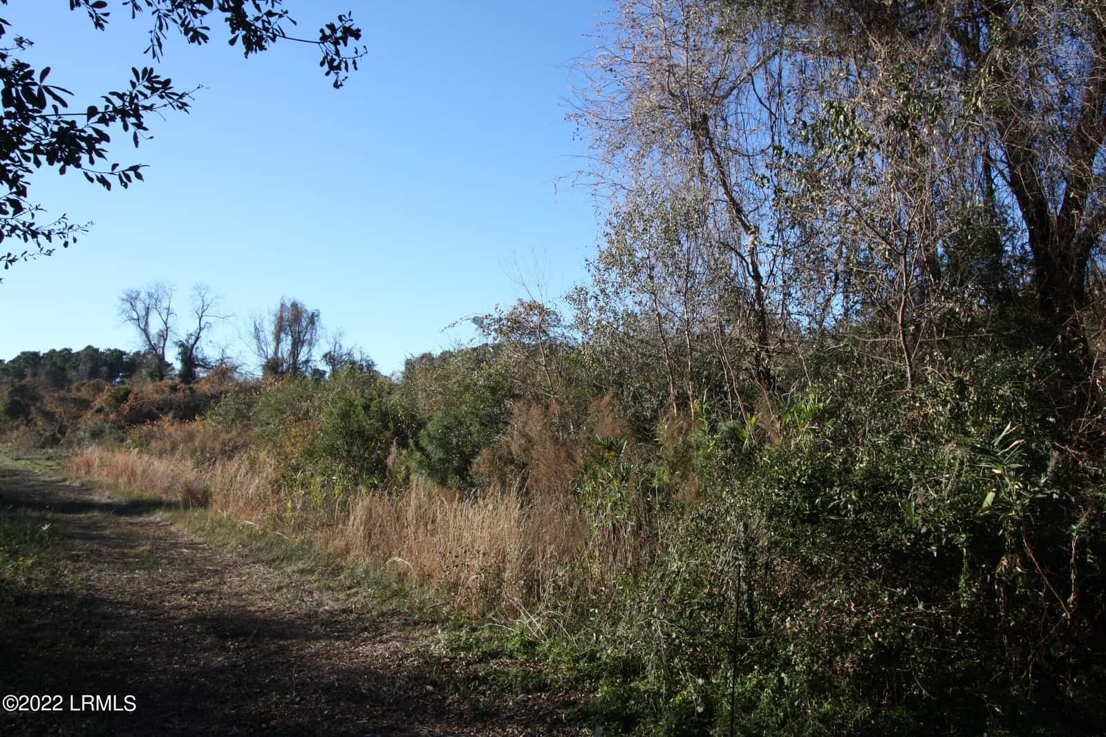 Tbd Halifax Circle, St. Helena Island, SC 29920 — photo 2 of 9