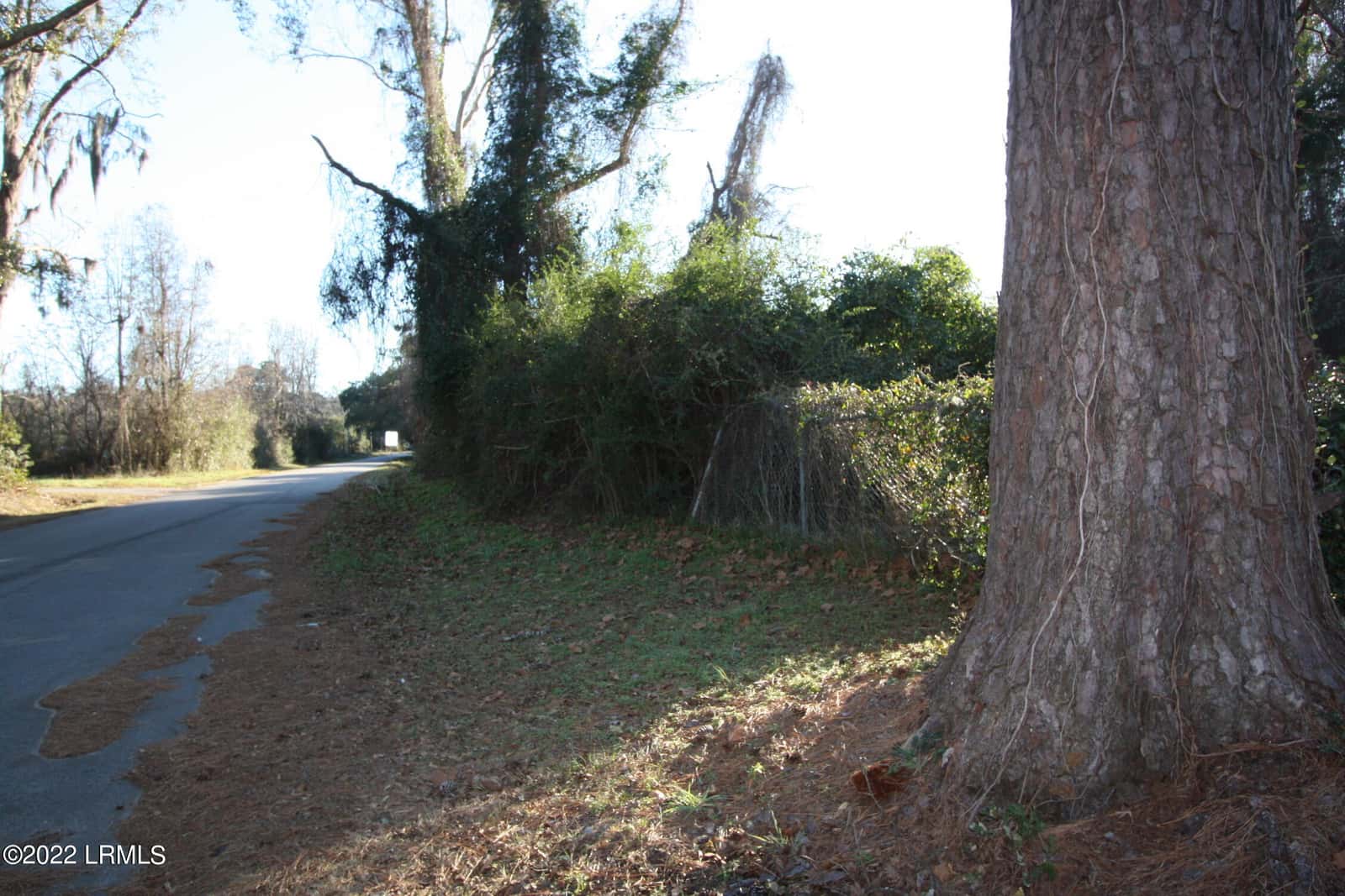 Tbd Halifax Circle, St. Helena Island, SC 29920 — photo 6 of 9