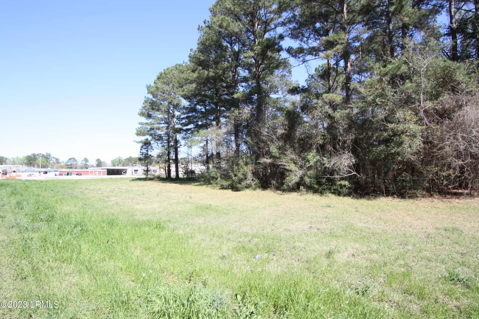 Tbd Columbia Highway 321 Highway S, Estill, SC 29918 — photo 3 of 7