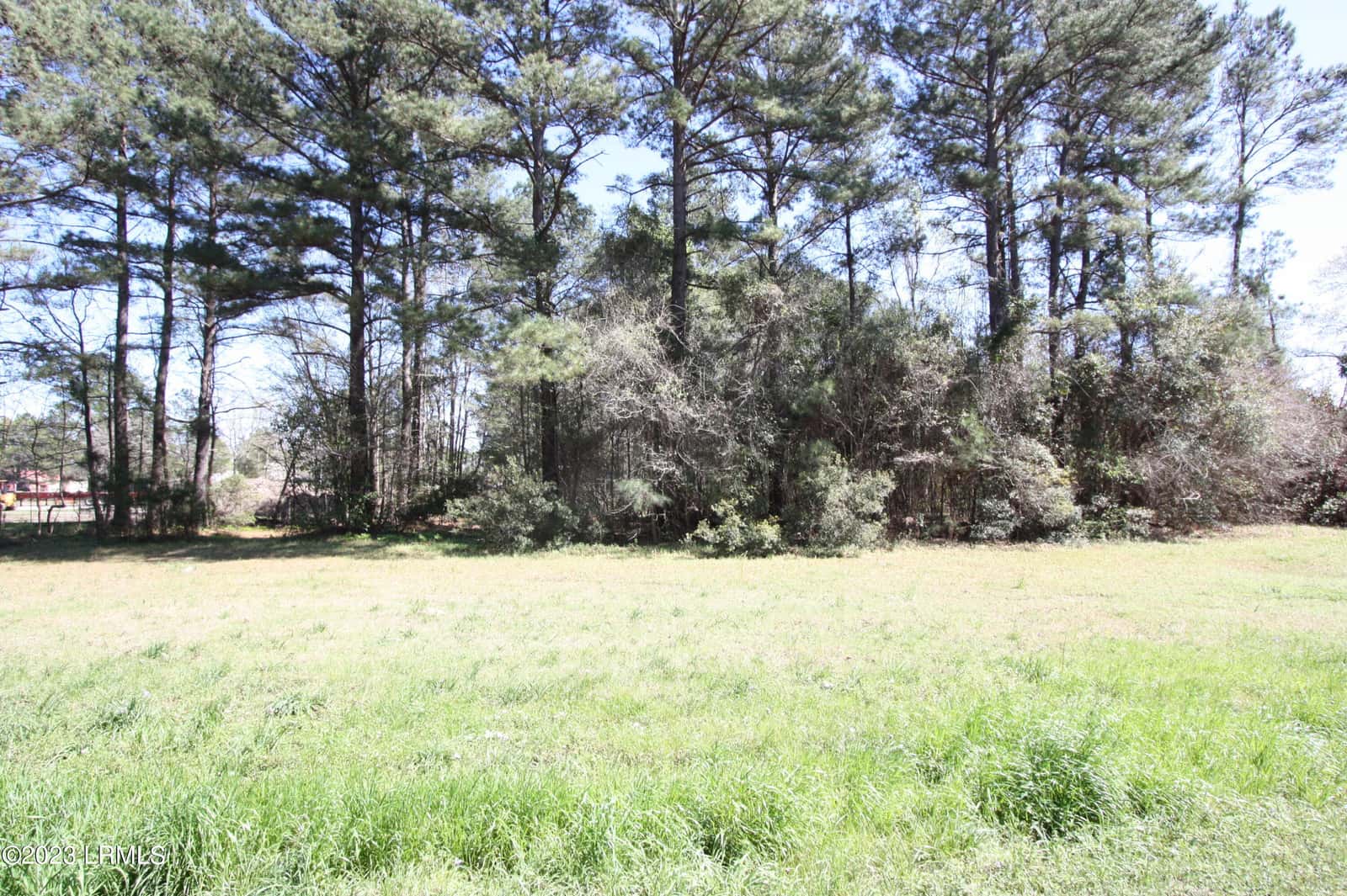 Tbd Columbia Highway 321 Highway S, Estill, SC 29918 — photo 5 of 7