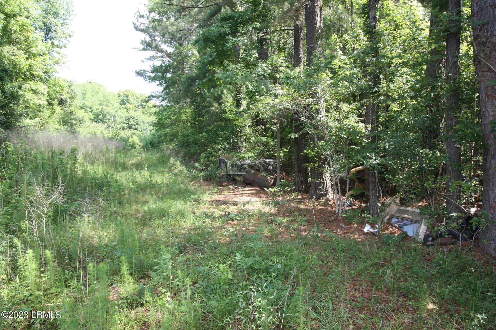 60 Wadley Street, Furman, SC 29921 — photo 6 of 8