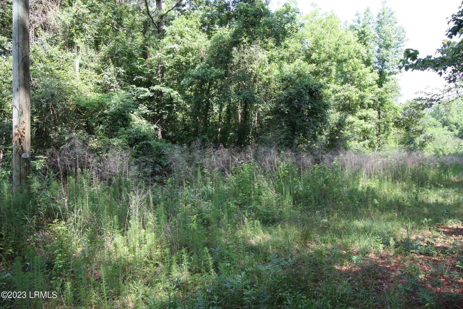 60 Wadley Street, Furman, SC 29921 — photo 7 of 8