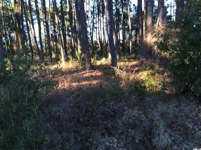 1453 Gleasons Landing Drive, St. Helena Island, SC 29920 — photo 4 of 23