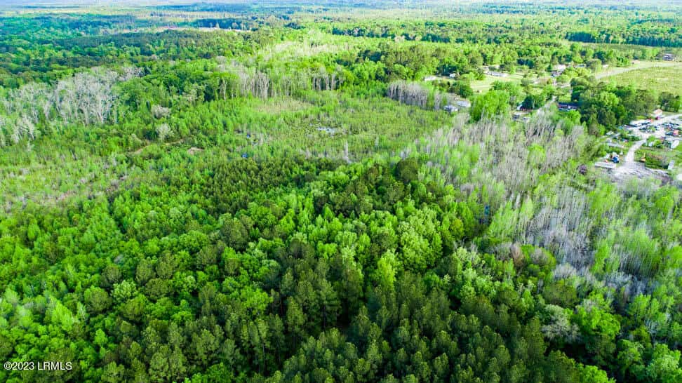 Tbd Dunham Williams Road, Hardeeville, SC 29927 — photo 11 of 17