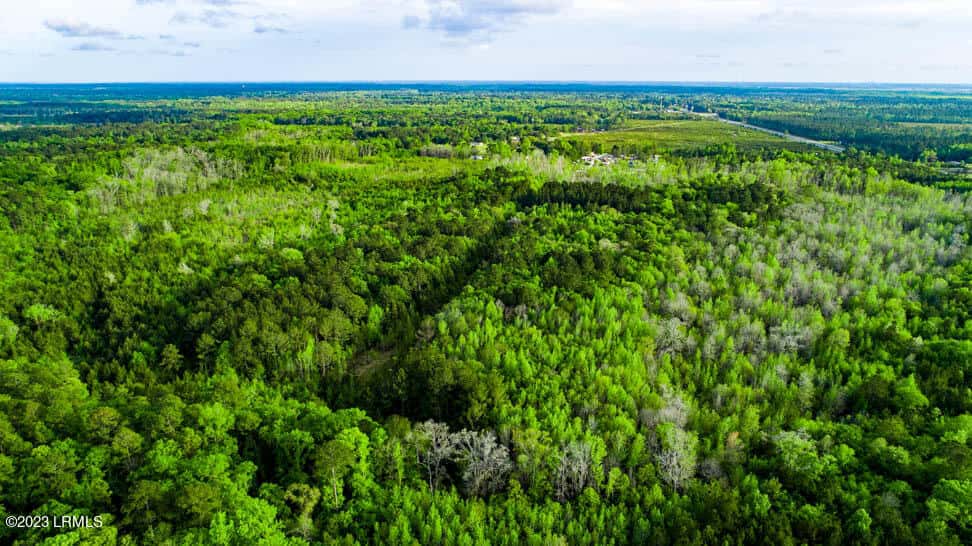 Tbd Dunham Williams Road, Hardeeville, SC 29927 — photo 15 of 17
