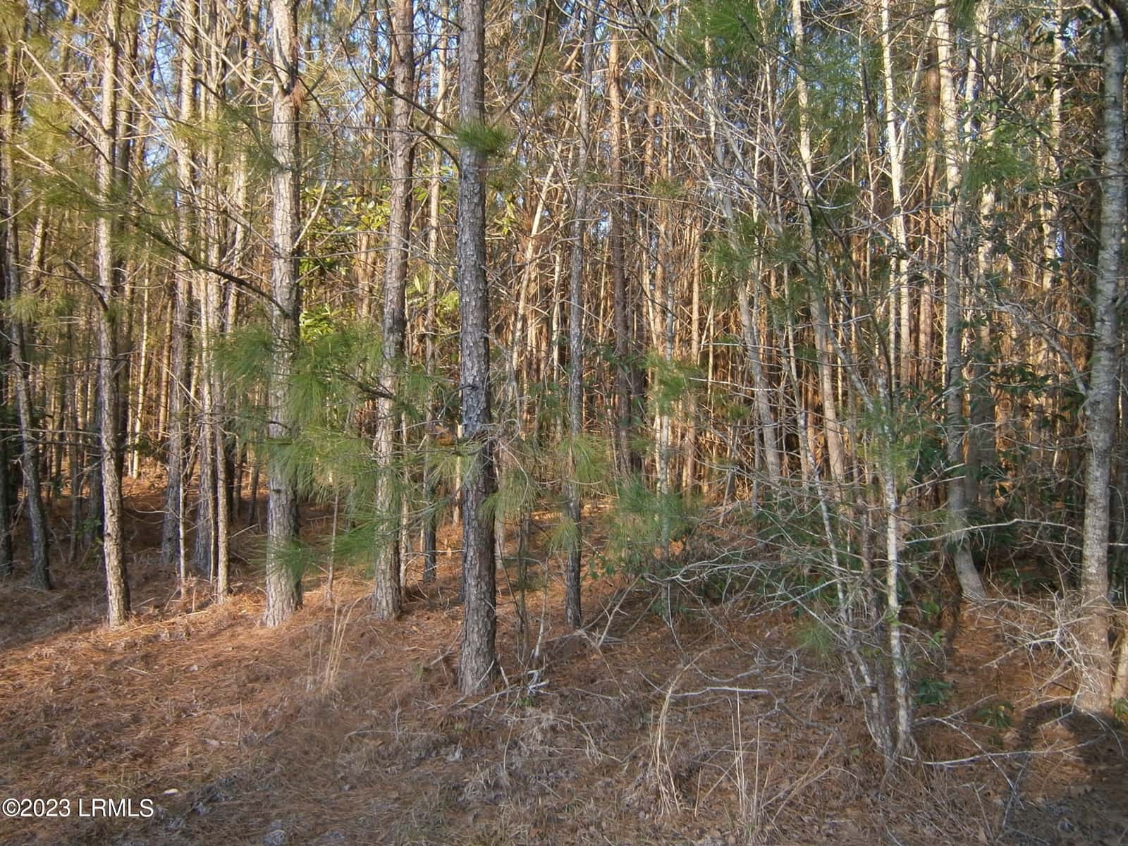 Tbd Dunham Williams Road, Hardeeville, SC 29927 — photo 16 of 17