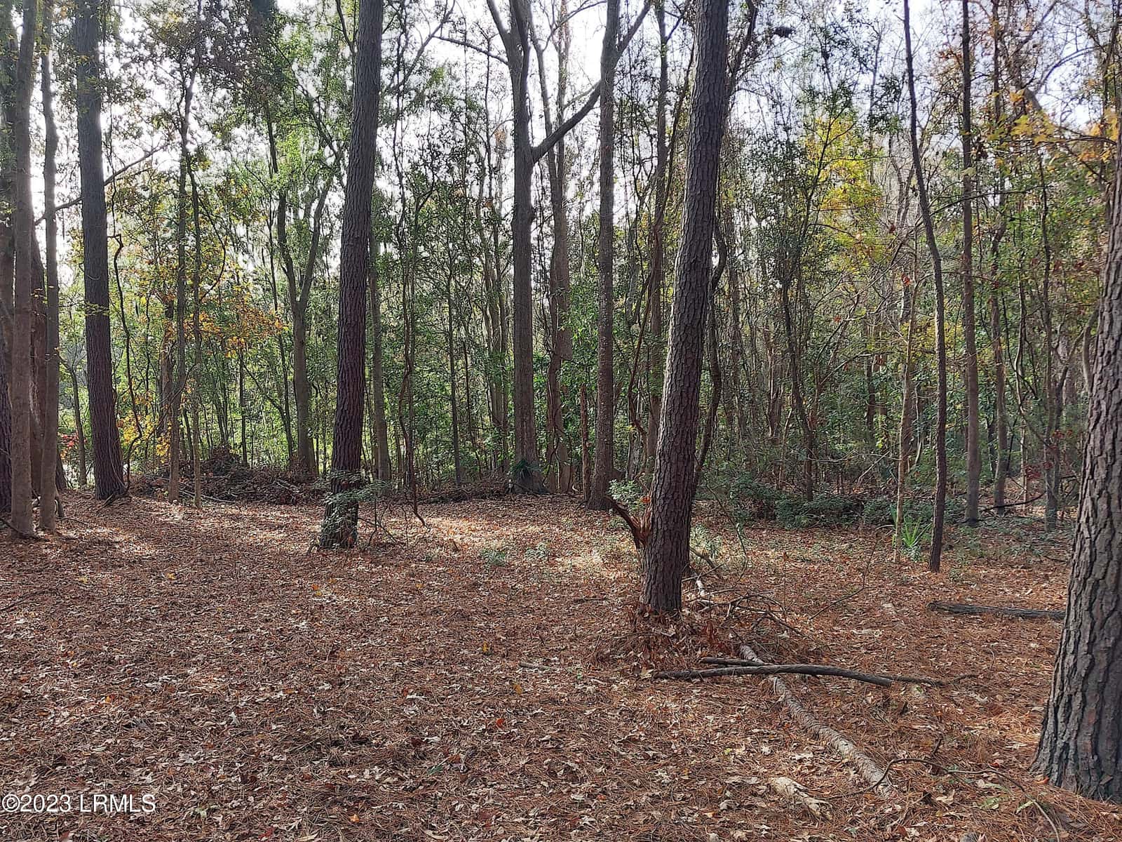 670 Robert Smalls Parkway, Beaufort, SC 29906 — photo 4 of 9