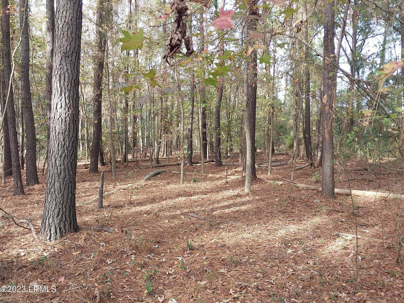 670 Robert Smalls Parkway, Beaufort, SC 29906 — photo 6 of 9
