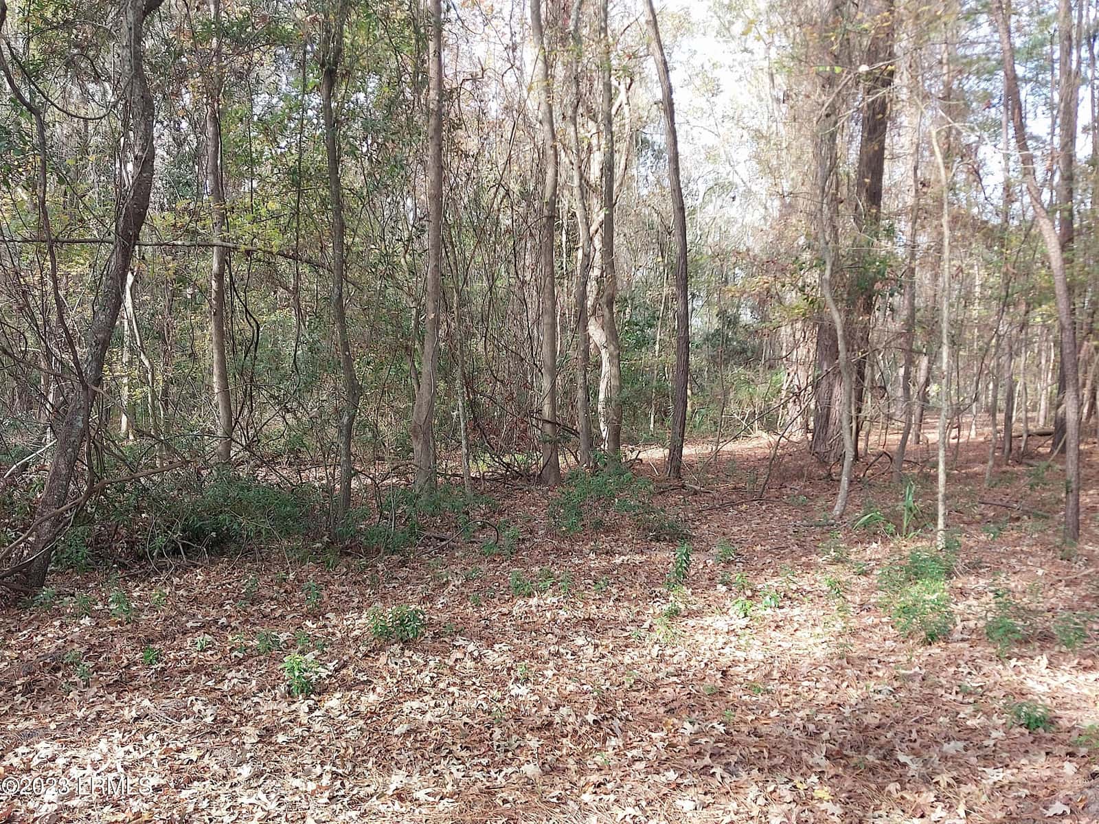 670 Robert Smalls Parkway, Beaufort, SC 29906 — photo 8 of 9