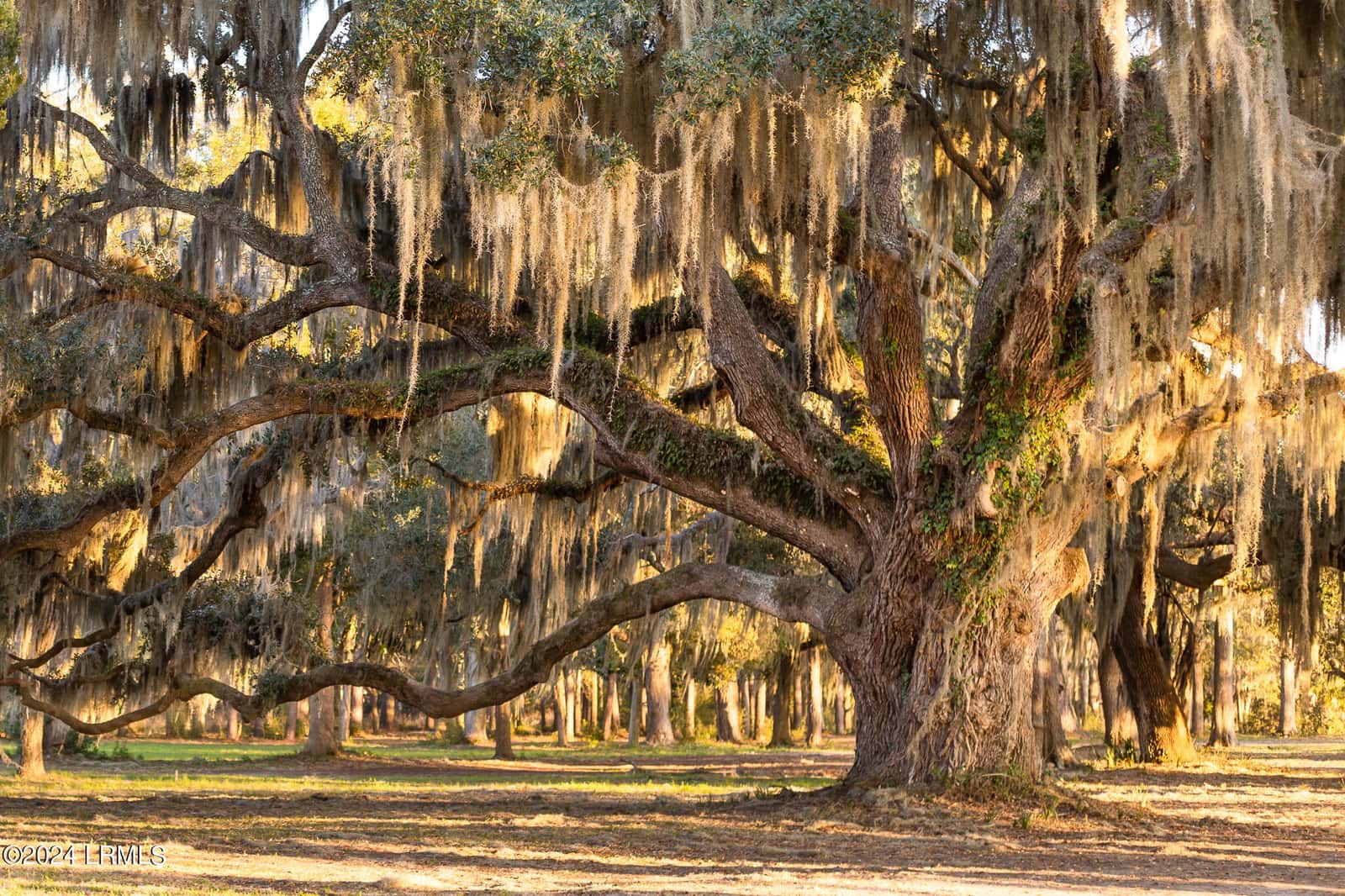 112 Whitehall Drive, Beaufort, SC 29907 — photo 87 of 89