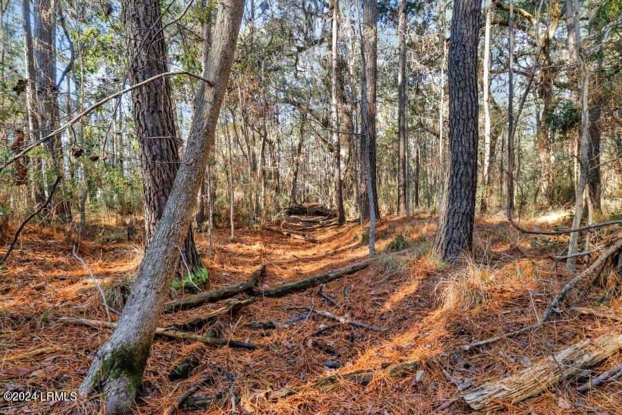 Tbd N Okatie Highway, Okatie, SC 29909 — photo 8 of 10