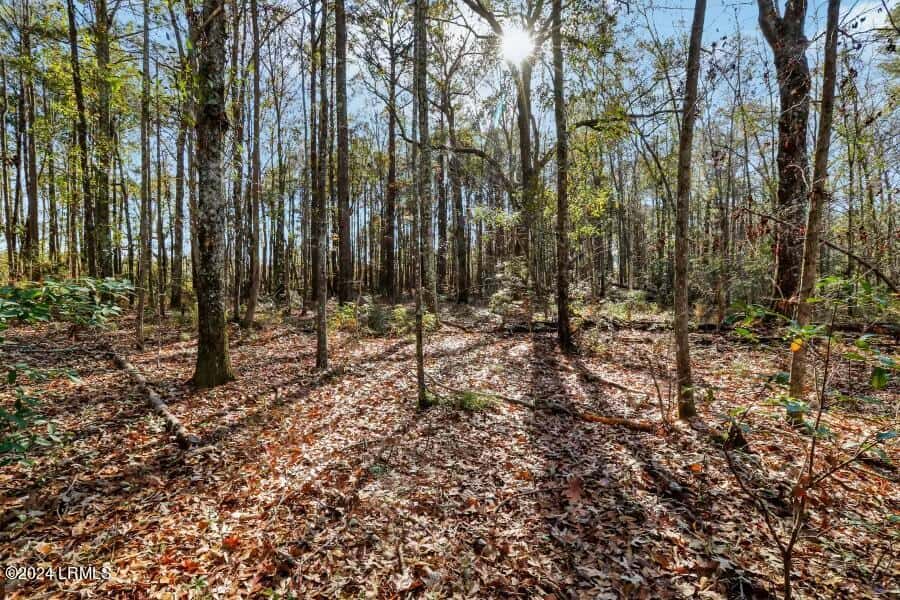 Tbd N Okatie Highway, Okatie, SC 29909 — photo 6 of 10