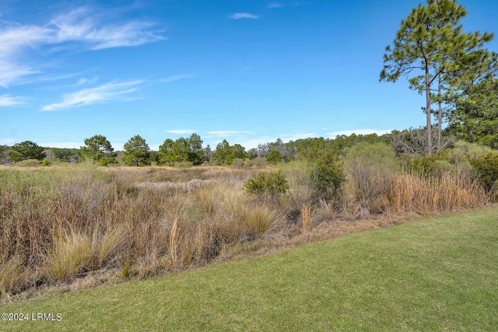 1513 Hunters Loop S, Hardeeville, SC 29927 — photo 13 of 16