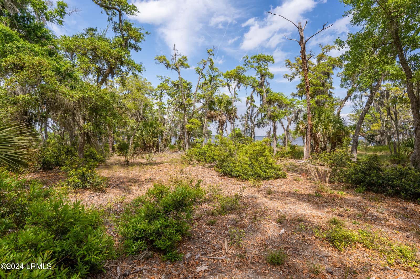 235 Old Plantation Drive W, Beaufort, SC 29907 — photo 17 of 31