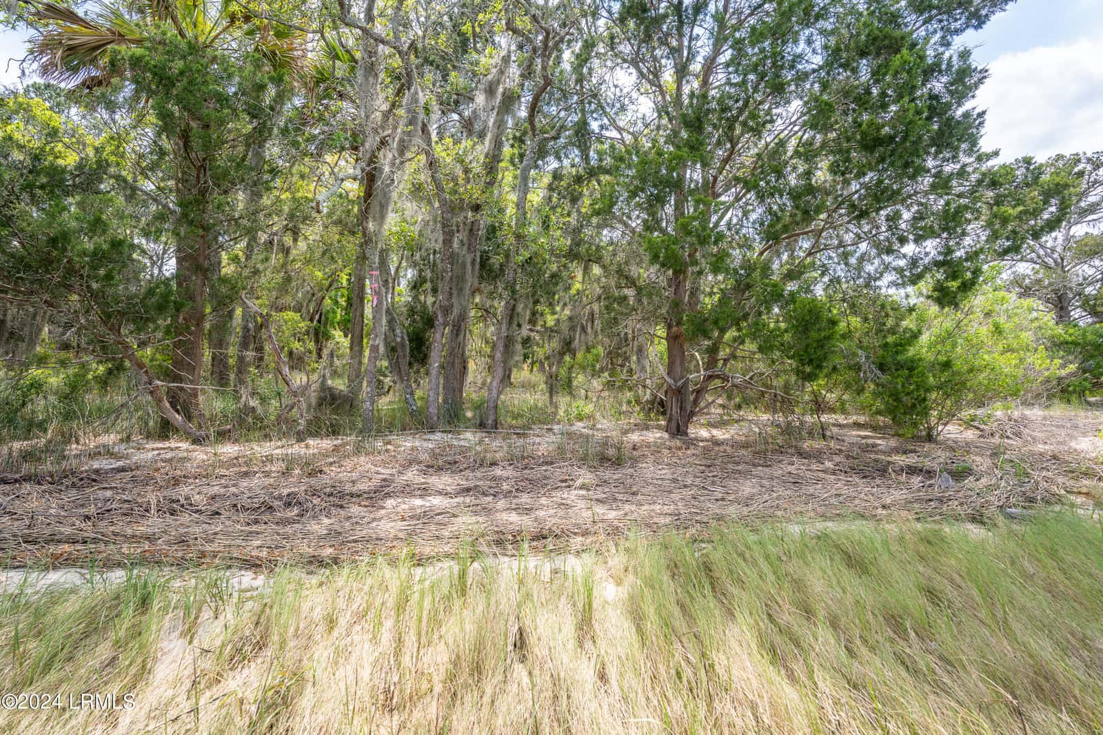 235 Old Plantation Drive W, Beaufort, SC 29907 — photo 23 of 31