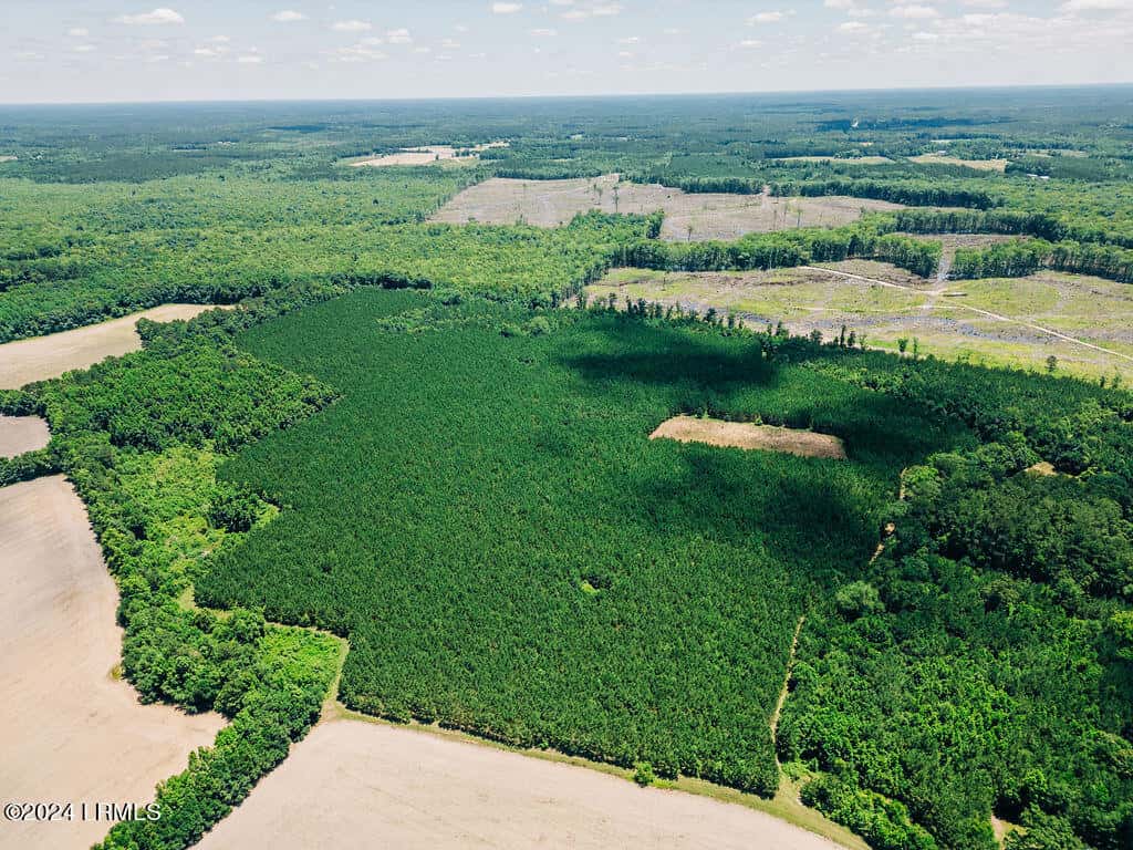 0000 Varnadoe Road, Islandton, SC 29929 — photo 1 of 10