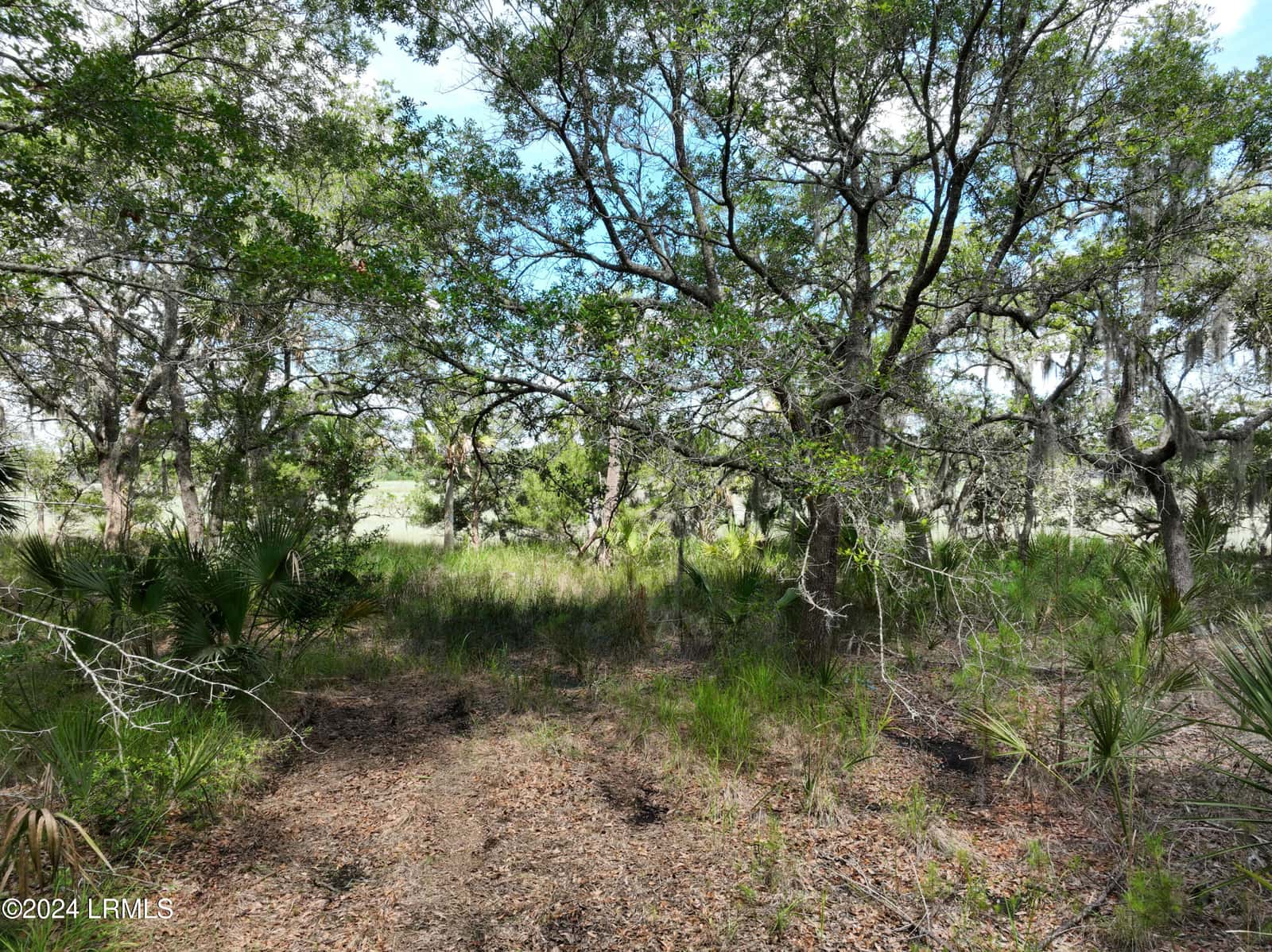 39 Net Menders Loop, St. Helena Island, SC 29920 — photo 2 of 16
