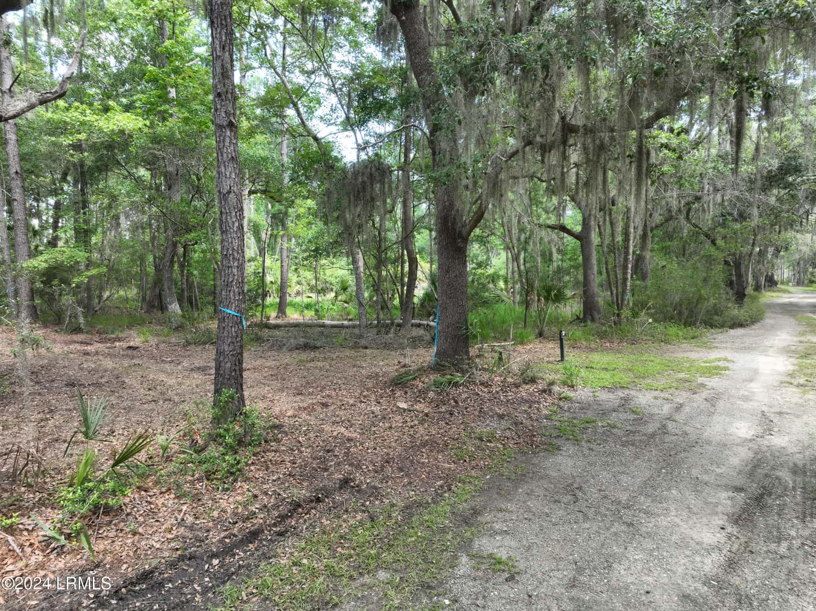 39 Net Menders Loop, St. Helena Island, SC 29920 — photo 3 of 16