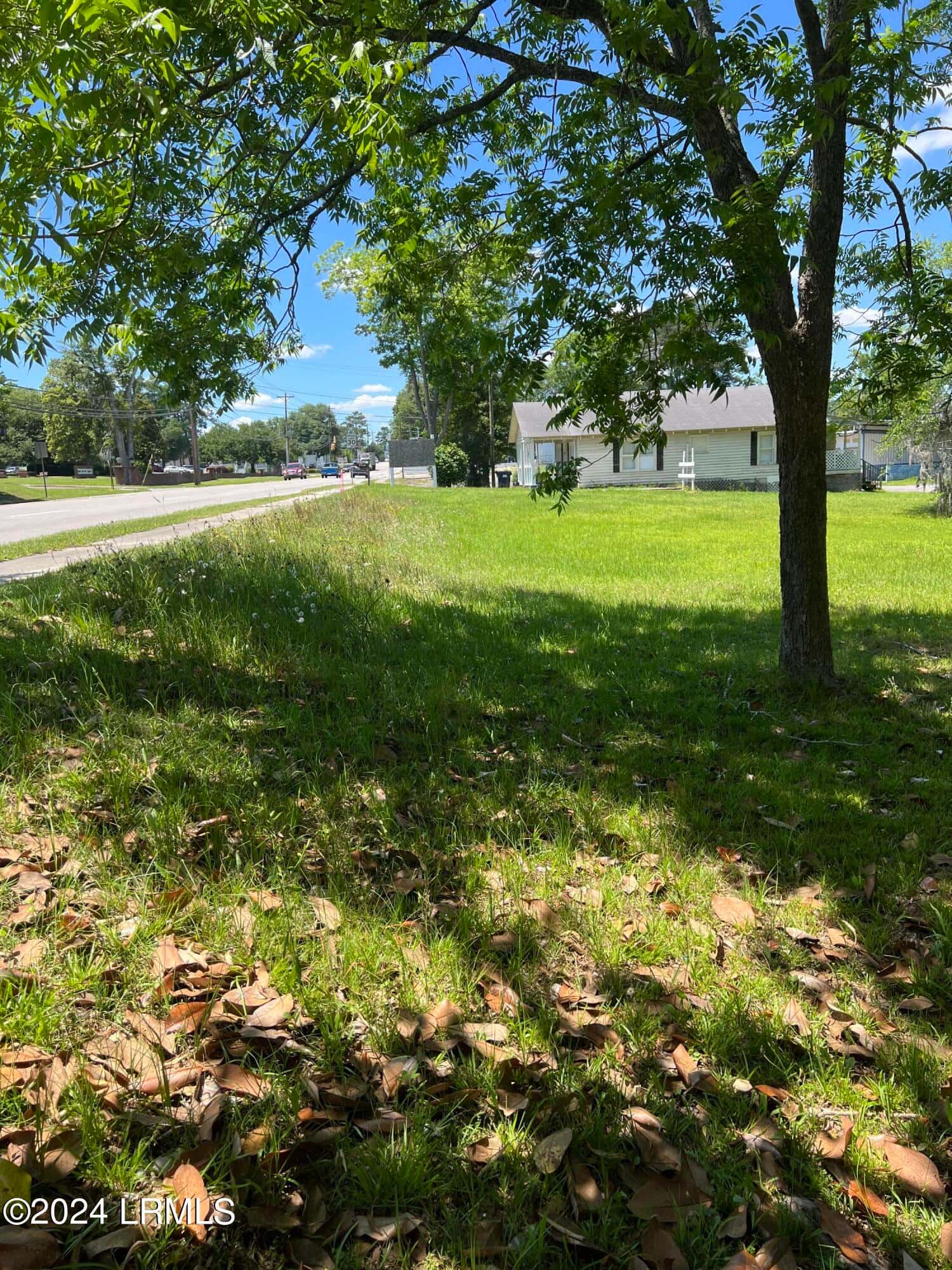 Tbd Elm Street E, Hampton, SC 29924 — photo 2 of 3