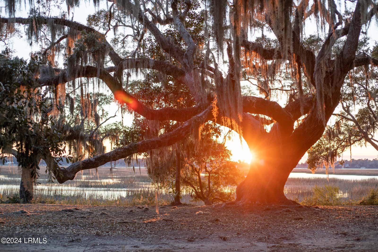 124 Whitehall Drive, Beaufort, SC 29907 — photo 16 of 17