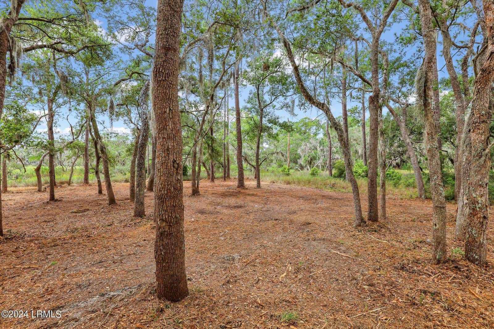 2222 Spanish Court, Beaufort, SC 29902 — photo 12 of 37