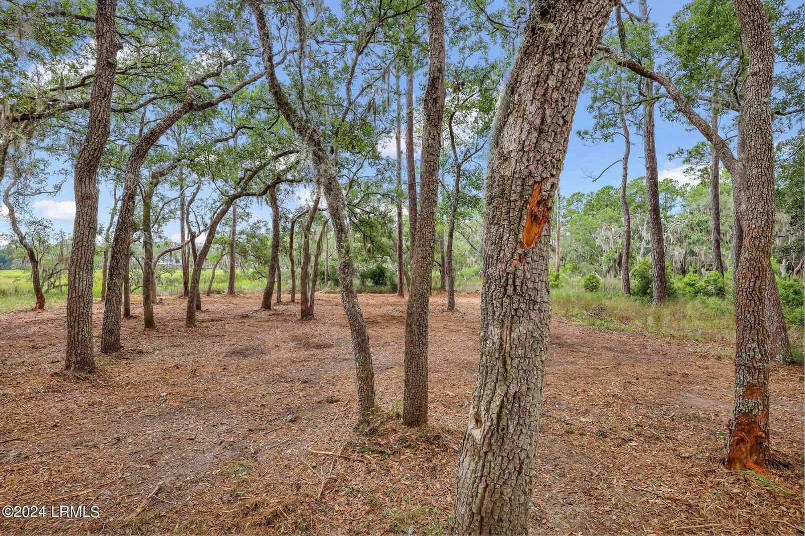 2222 Spanish Court, Beaufort, SC 29902 — photo 14 of 37