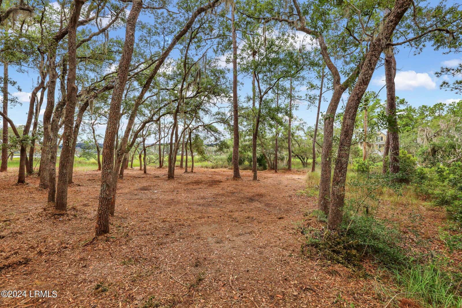 2222 Spanish Court, Beaufort, SC 29902 — photo 16 of 37