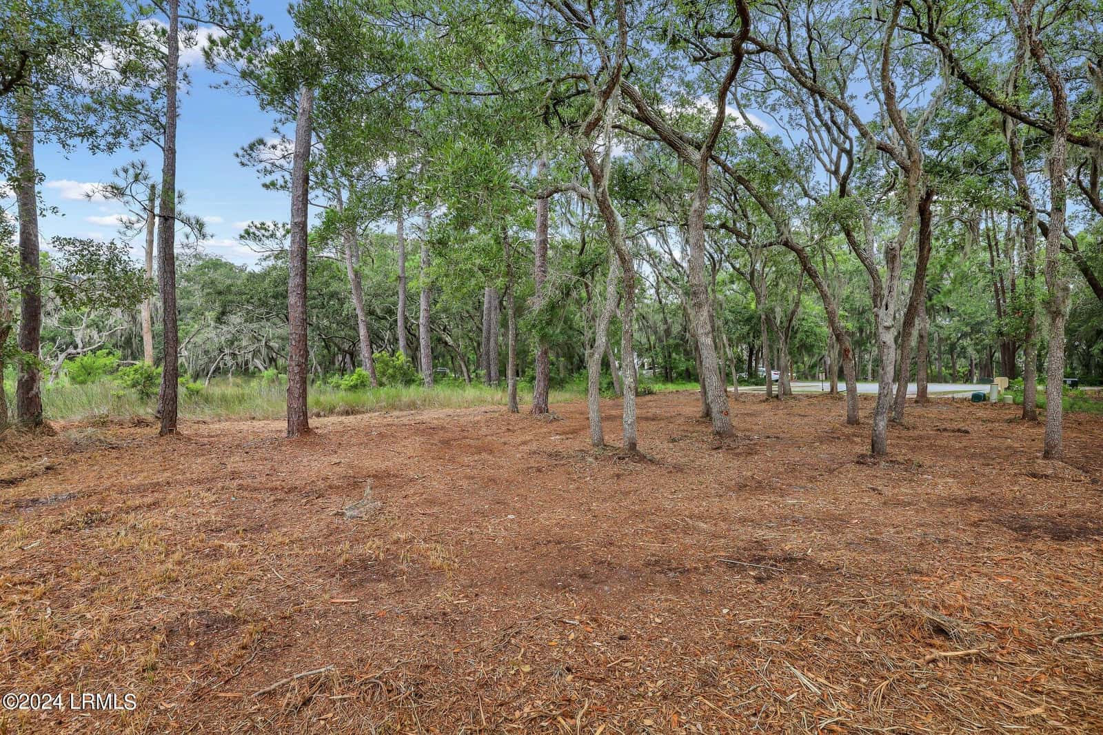 2222 Spanish Court, Beaufort, SC 29902 — photo 24 of 37