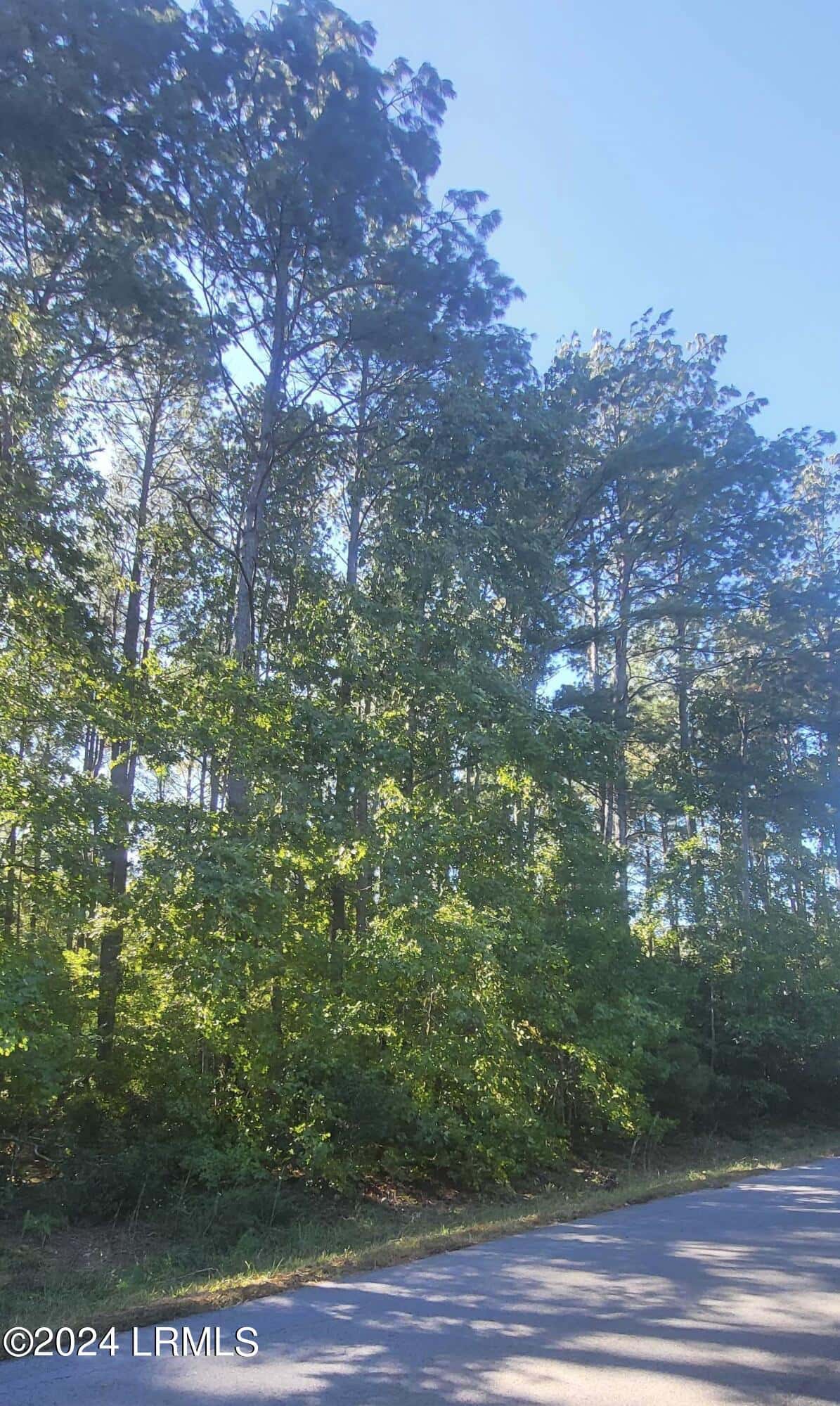 271 Founders Oak Way, Yemassee, SC 29945 — photo 7 of 8