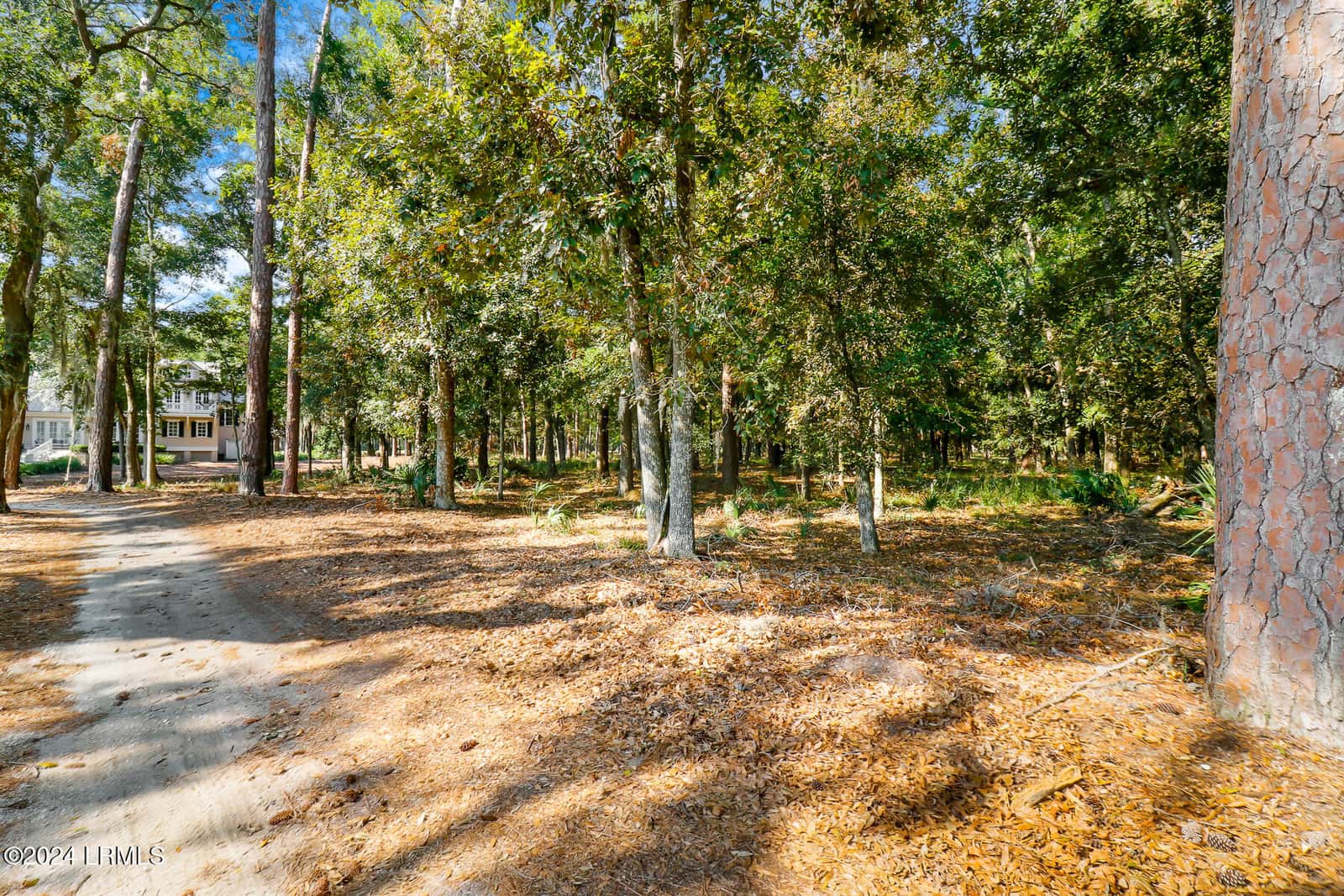 15 Outer Banks Way, Daufuskie Island, SC 29915 — photo 6 of 56