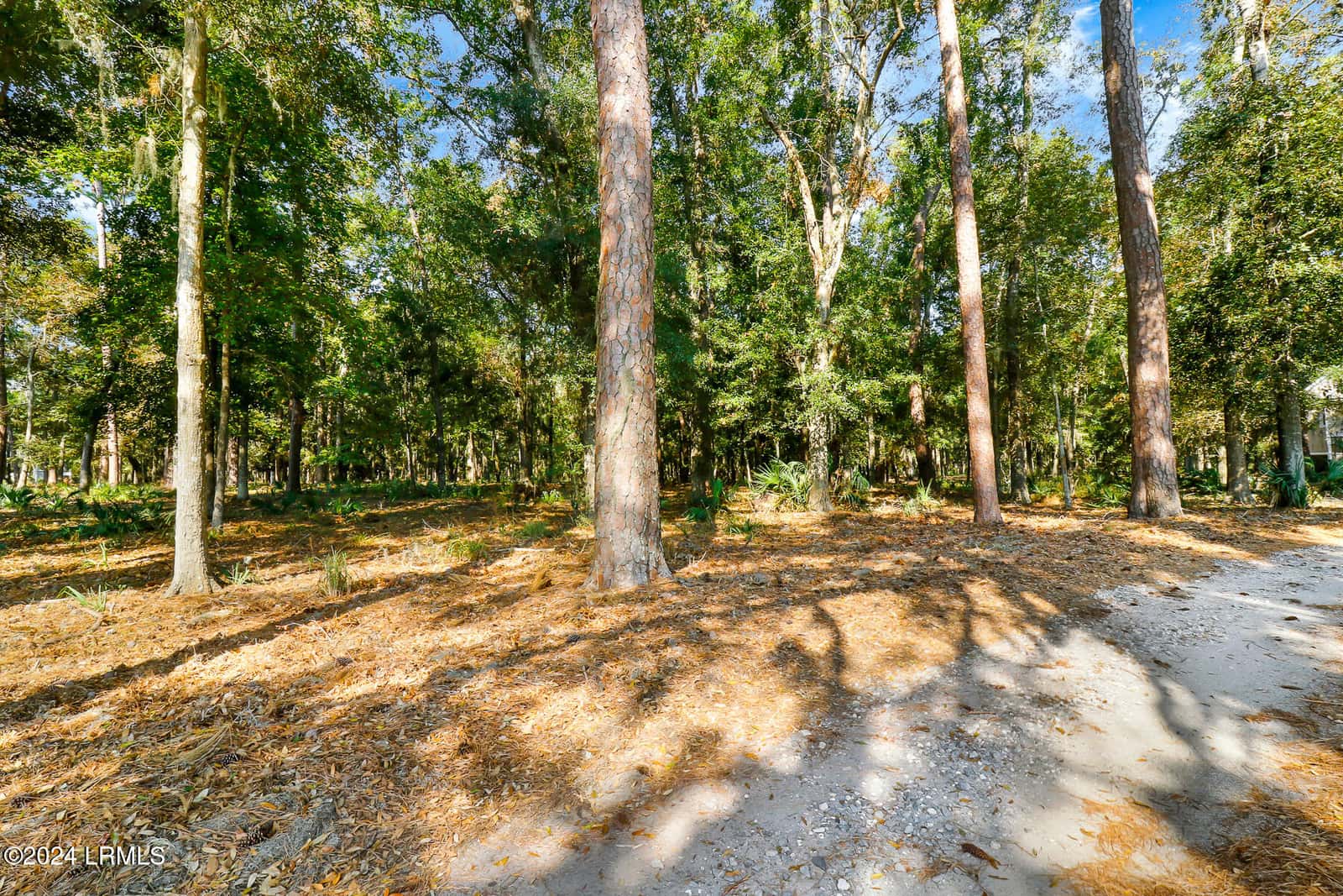 15 Outer Banks Way, Daufuskie Island, SC 29915 — photo 7 of 56