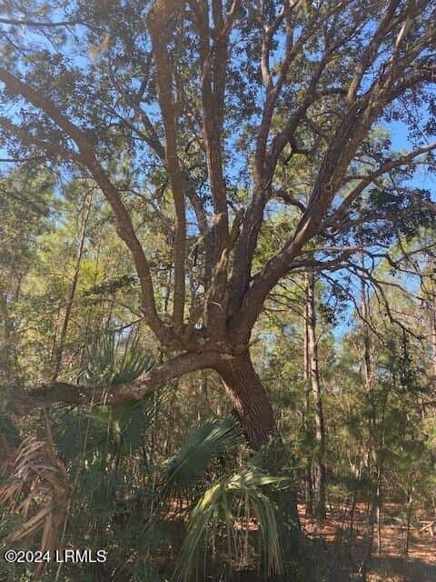 18 Net Weavers Place, St. Helena Island, SC 29920 — photo 8 of 13