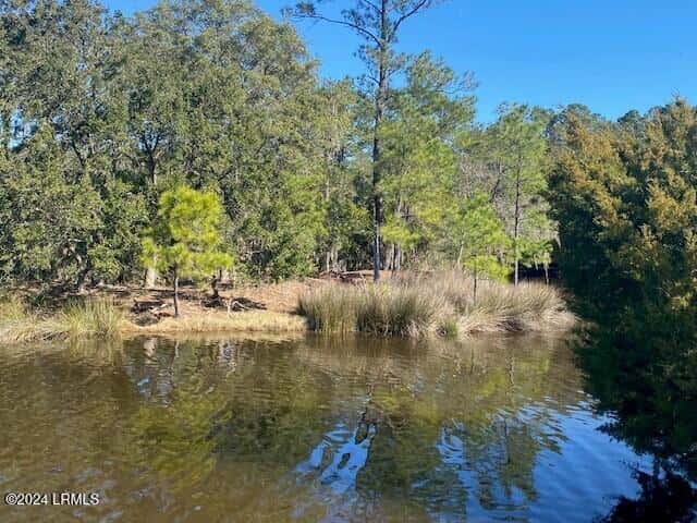18 Net Weavers Place, St. Helena Island, SC 29920 — photo 7 of 13