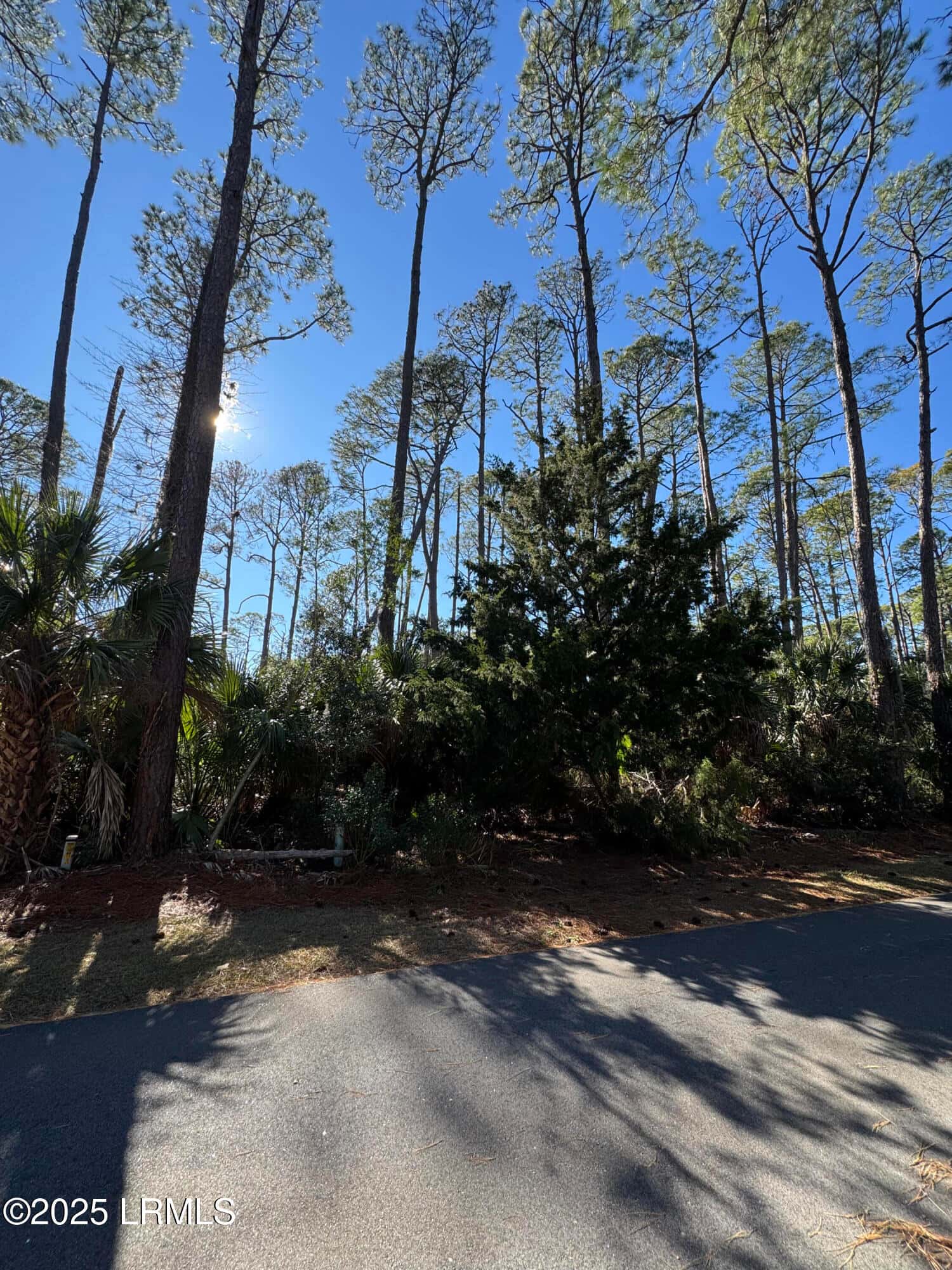 34 Lakeview Lane, Harbor Island, SC 29920 — photo 11 of 44