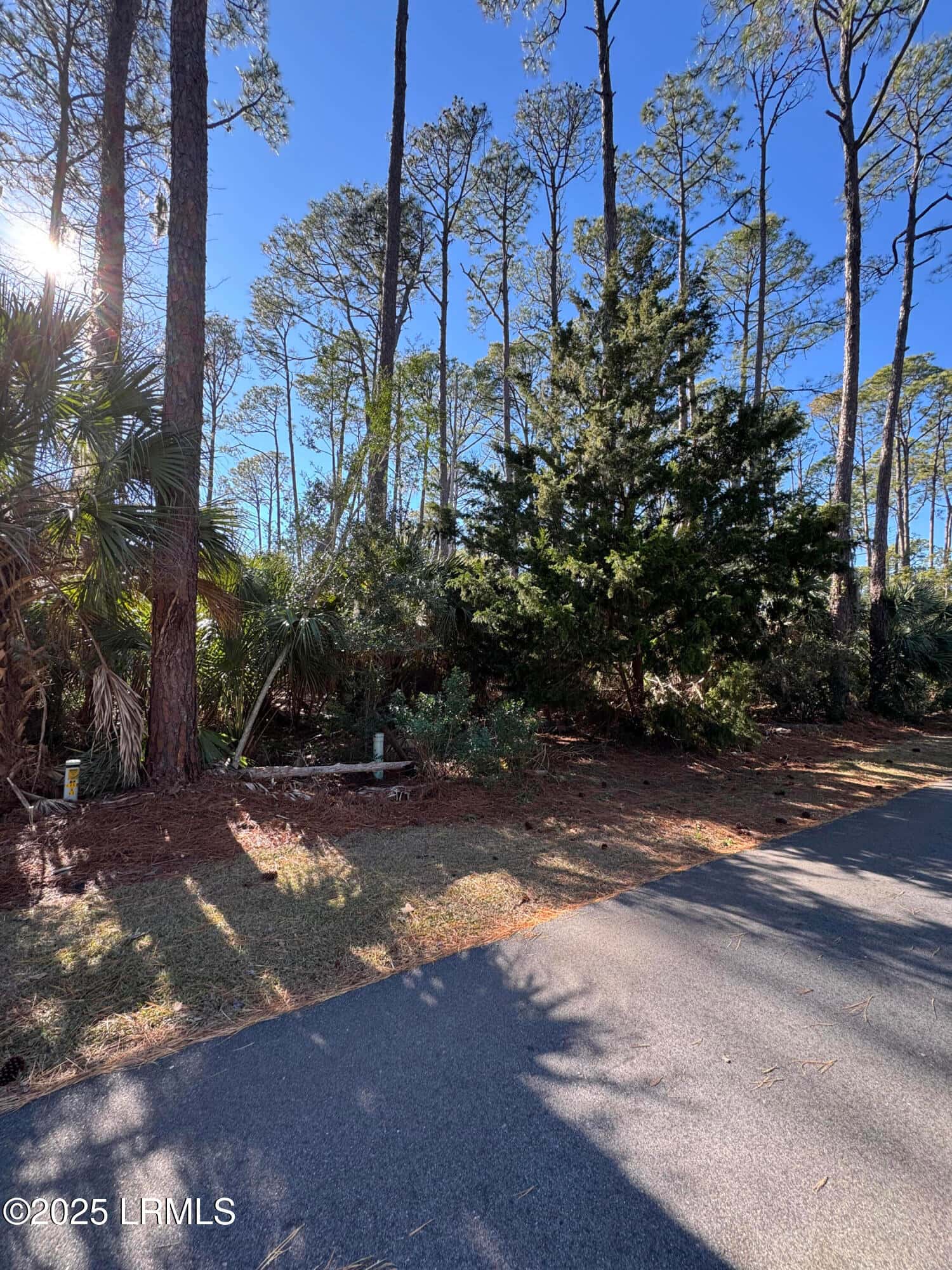 34 Lakeview Lane, Harbor Island, SC 29920 — photo 13 of 44